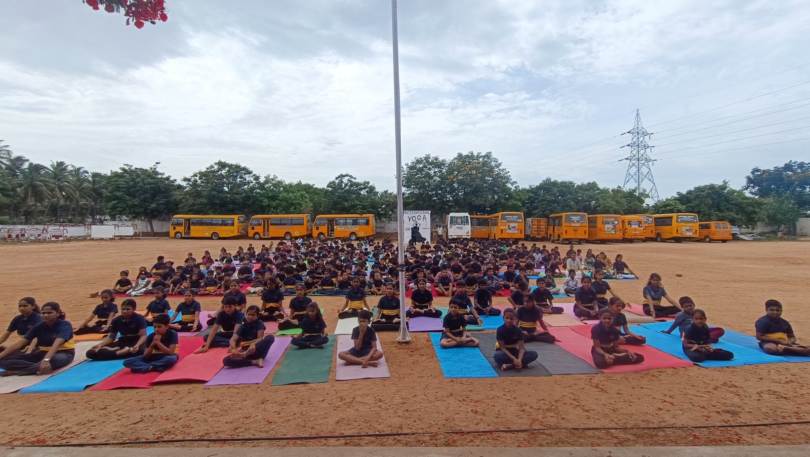 Celebrating Wellness – International Yoga Day at National Model
