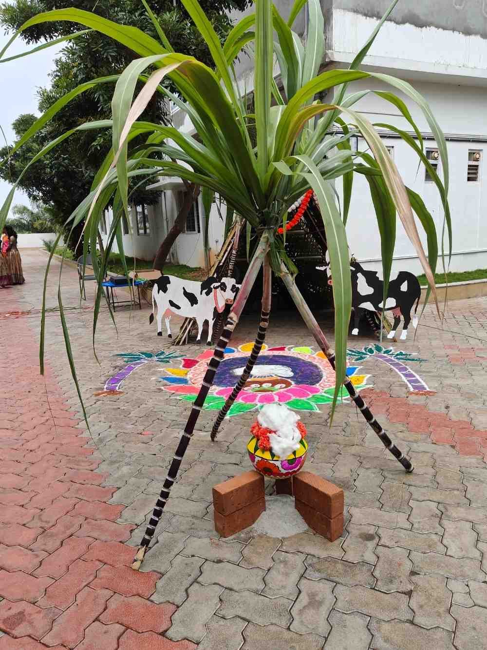 Pongal Celebration